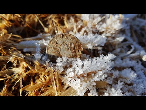 Der Bayern Sondler Teil 148 - 1000 Reichsmark sind so einfach verdient