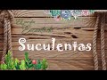 El Jardín Encantado