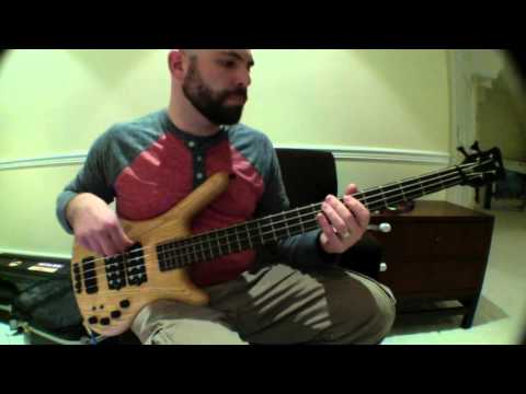 Pink Humpy - Backpack - Bass Cover