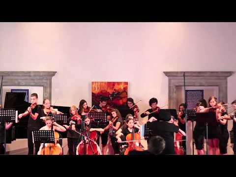 Sir Edward Elgar - Salut d'Amour for cello and string orchestra