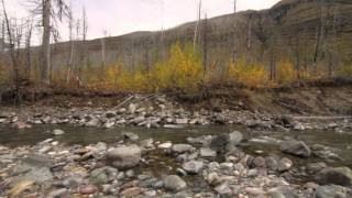 Trip video to the mineral creek cabin... area.