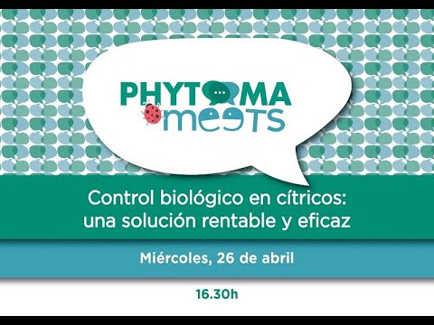Fotograma del vídeo: Control biológico en cítricos: una solución rentable y eficaz