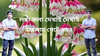 লাম্বা কলা দেখাই দেখাই  Lamba kola dhakay dhakay bangoli song 2025#comedy #funny