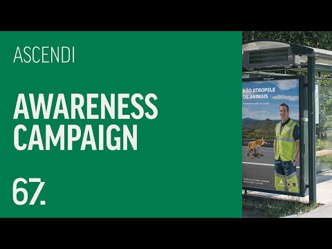 Ascendi - Animais na Estrada
