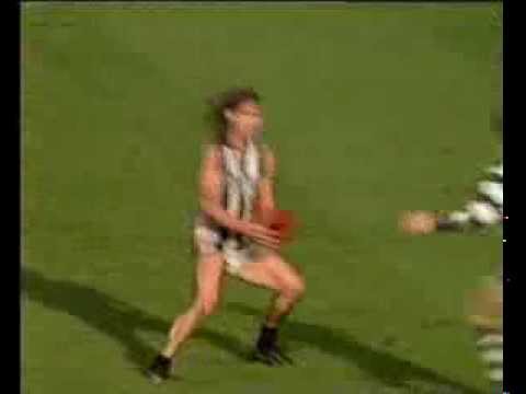 Peter Daicos in a Nutshell