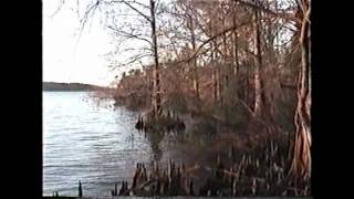 preview picture of video 'Canoe Camping in the Louisiana Bayou (Dec. 2001)'