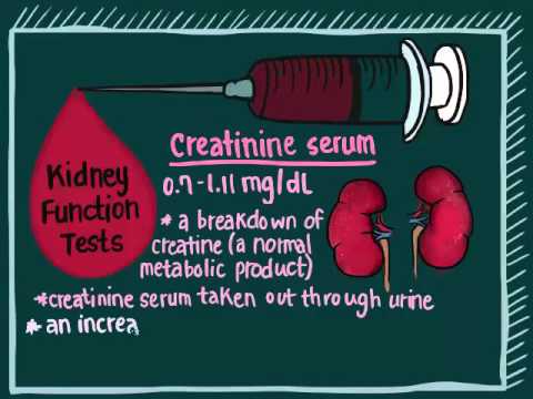 Understanding Blood Test Video 2: Comprehensive Metabolic Panel
