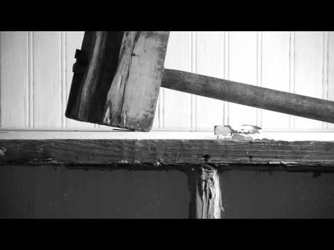 Woodpecker - The Handsome Family