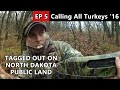 HE'S COMING FAST!!! Public Land Hunting in NORTH DAKOTA - Calling All Turkeys