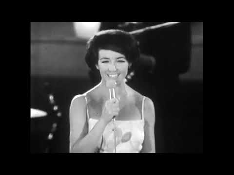 Barbara Gibson : Paper Tiger