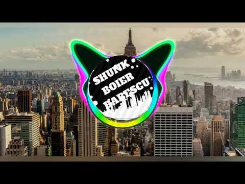 #skunk_boier_bibescu #BHADONFARHAN skunk boier bibesco. skunk boier babescu remix