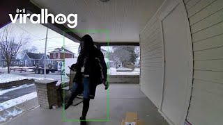 FedEx Driver Delivers Surprise Dance Routine On Route || ViralHog