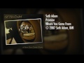 Seth Adam - Promise