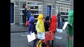 preview picture of video 'Carnaval Optocht 2013 Boxtel (no 3 van 3)'