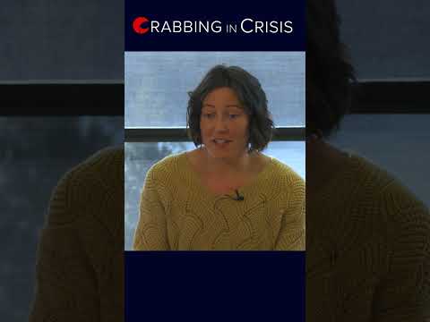 100億匹のズワイガニがどのようにしてアラスカ海域から消えたのか、そしてそれが水産業界にとって何を意味するのか