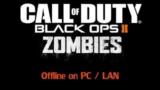 How to play Bo2 Zombies Offline/Lan