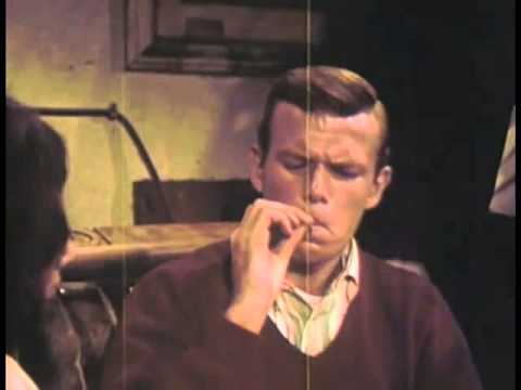 Thylacine - No mic stand (Feat Camille Després)