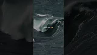 Download lagu Roja kadale ❣️💗👀#lovestatus #whatsappstatus #tamillovesong #lyricsstatus #boysstatus mp3 Download lagu Roja kadale ❣️💗👀#lovestatus #whatsappstatus #tamillovesong #lyricsstatus #boysstatus mp3