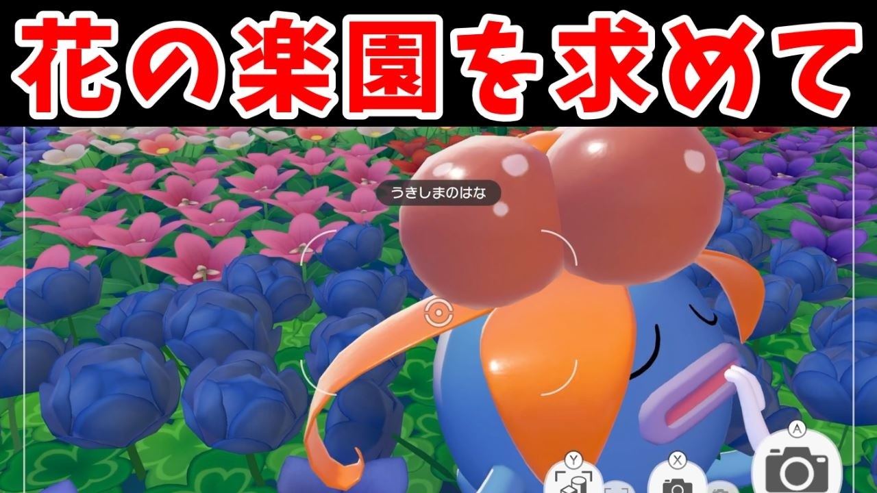 1000マスの植えられる花畑を創る！あまいみつの大量量産はできるのか！？【ゆっくり実況】【ぽこあポケモン】