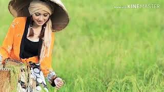 Download lagu gadis tani by Iwan fals cover mp3