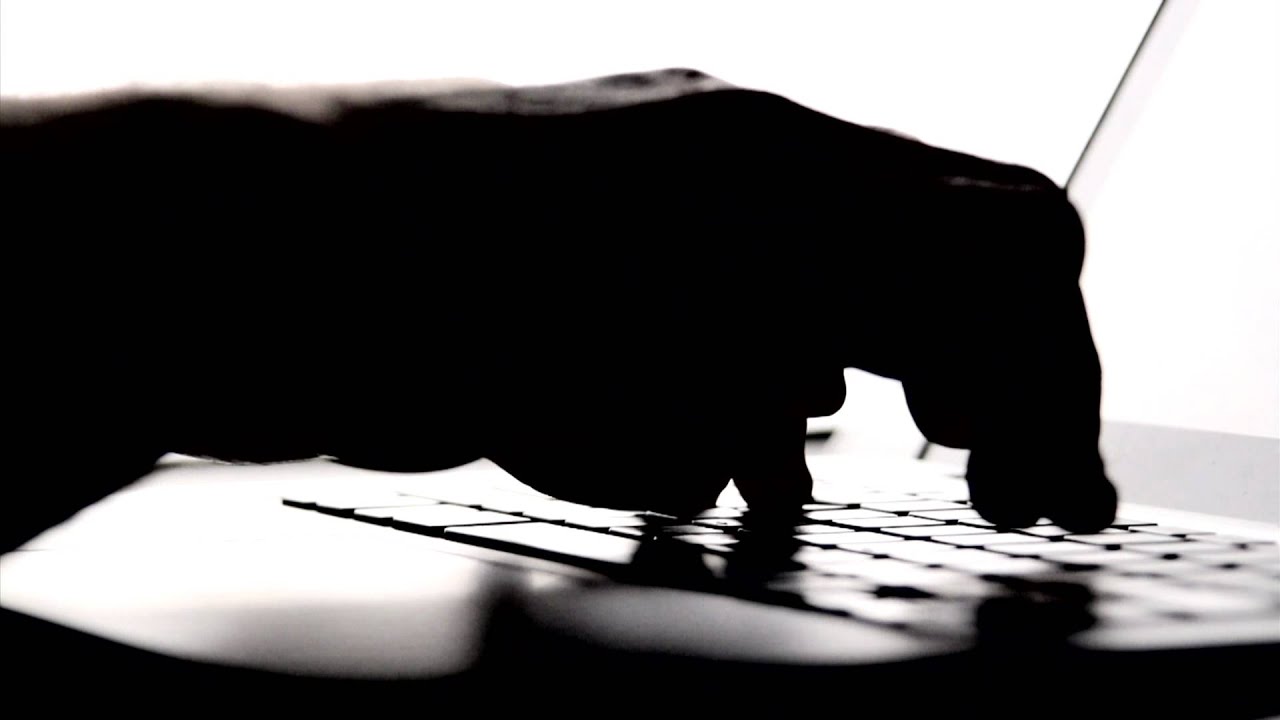 Typing Stock Video 2