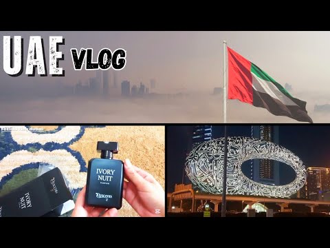 Foggy Weather in Ajman UAE | Flowers in Winter | My Plants Update | Dubai Short Trip #fog#flowers