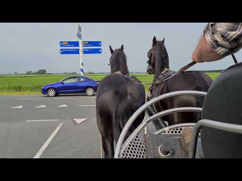 Stal Okkema's Floris (3jr ruin) en Zepp (5jr ruin)