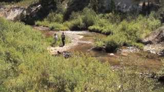 preview picture of video 'Abandoned Minelands Restoration in Headwaters of Boise River in Idaho HD'