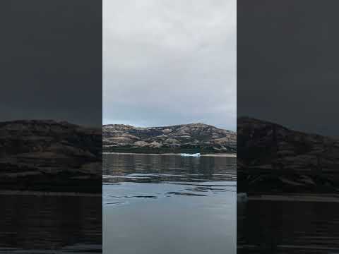 Hans lange, Eqqarsaatikka.