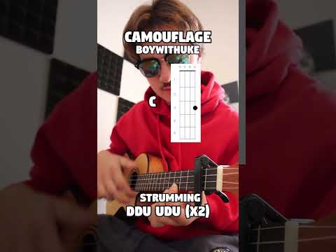 Camouflage - BoyWithUke