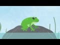 How A Frog Becomes A Frog