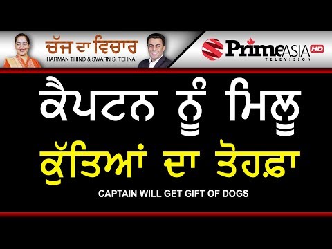 Chajj Da Vichar 697 Captain will get gift of dogs