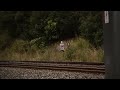 6 Most Disturbing Forest Encounters Caught On Camera