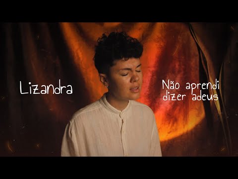 Lizandra - Não aprendi dizer adeus (Lyric Video)