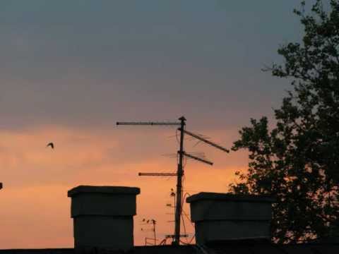 Goran Dimitrijadis Dima - Bez nje