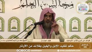 صورة 85 - حكم تقليد الإبل والخيل بقلائد من الأوتار - الشيخ سعد بن شايم الحضيري