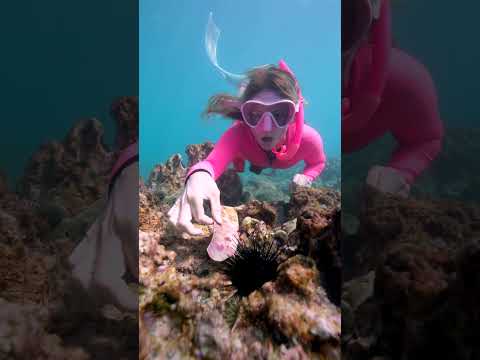 Shocking Surprise While Cleaning the Oceans
