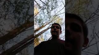 Dry land fish hunting