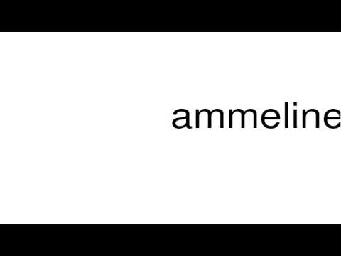 How to pronounce ammeline