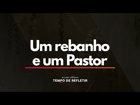 Tempo de Refletir 2478 - Um rebanho e um pastor