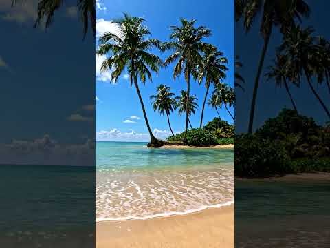@PrefeituraBSA CIDADE BARRA DE SANTO ANTÔNIO ALAGOAS #BARRA  de Santo Antônio ALAGOAS