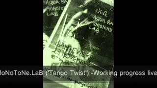 MoNoTone.LaB ('Tango Twist') Hambourg 2013