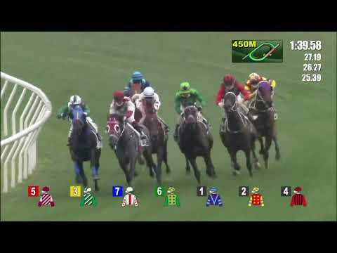 20/2/2022 (434) Looking Great - Matthew Chadwick