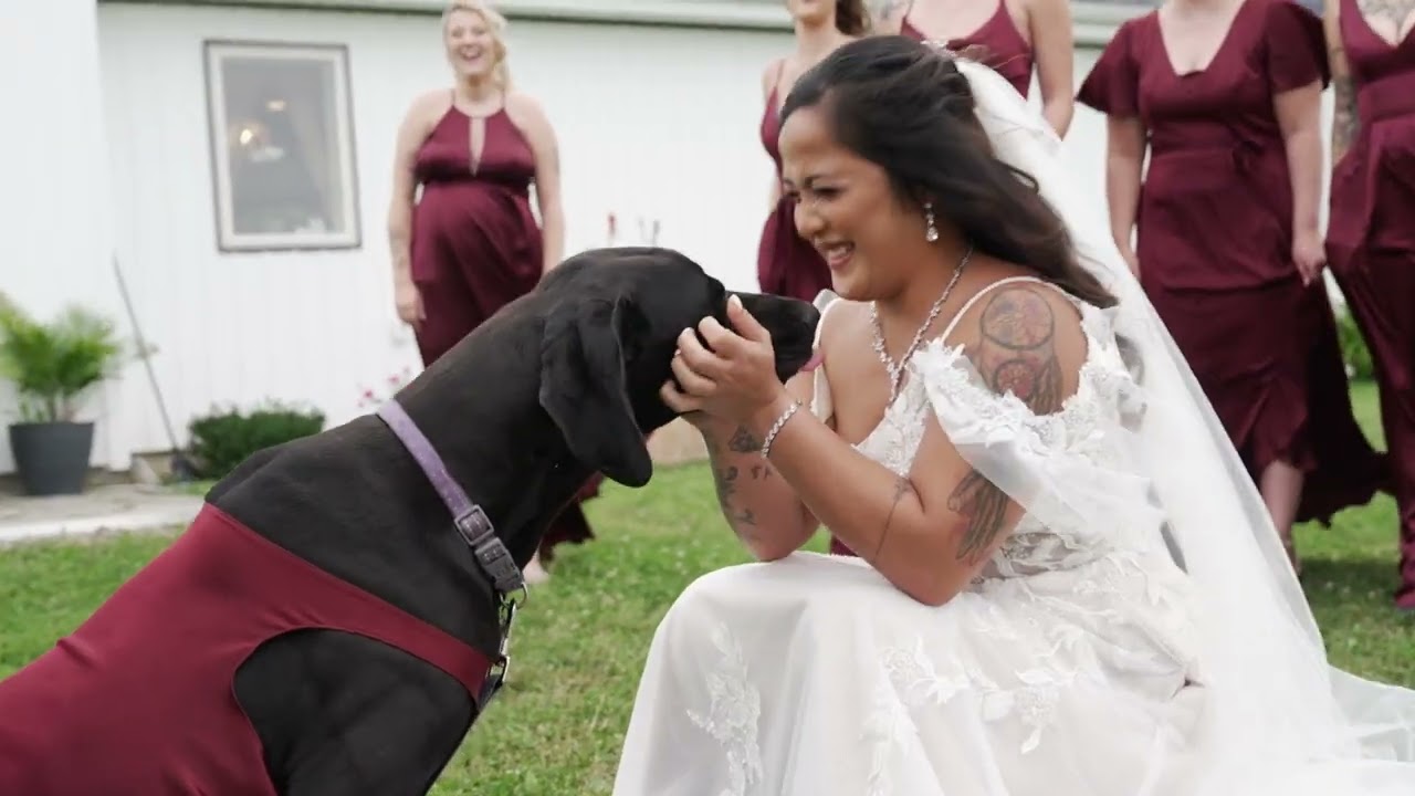 Promotional video thumbnail 3 for Timeless Wedding Photography Collections