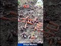 Farming for beginners: a simple guide to snail farming