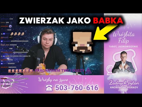 ZWIERZAK JAKO BABKA DZWONI DO WRÓŻBITY TESTREE