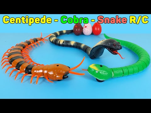 RC Centipede, Cobra, Snake Remote Control, Simulation And Rechargeable | Unboxing & Review