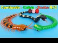 RC Centipede, Cobra, Snake Remote Control, Simulation And Rechargeable | Unboxing & Review