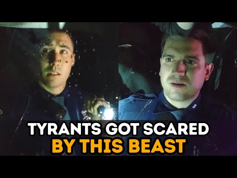 This Is One Of The Most Brutally Owned Police Traffic Stops Ever Recorded