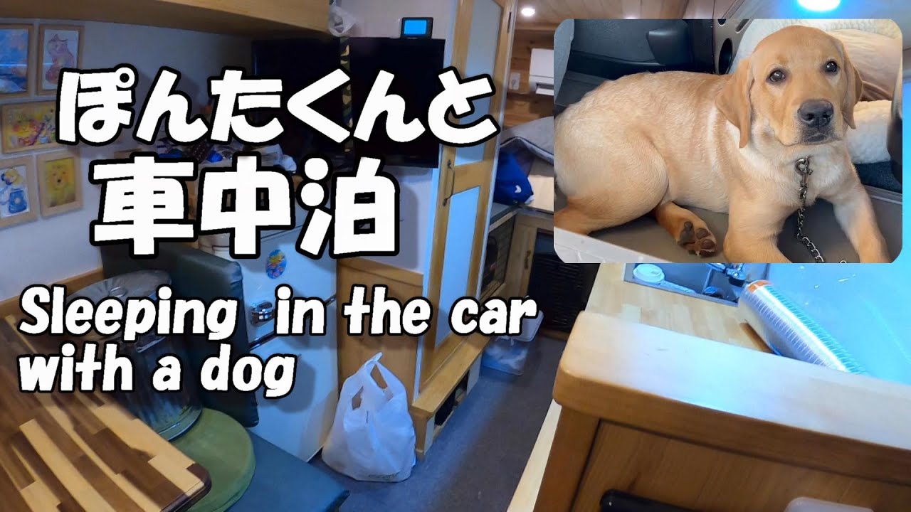 自作キャンピングカーで愛犬と車中泊